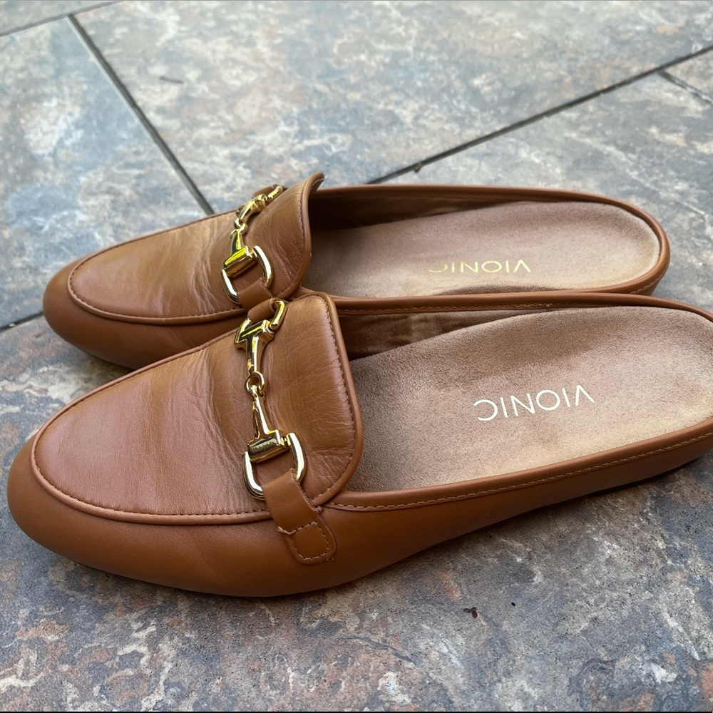 EUC Vionic Slides
